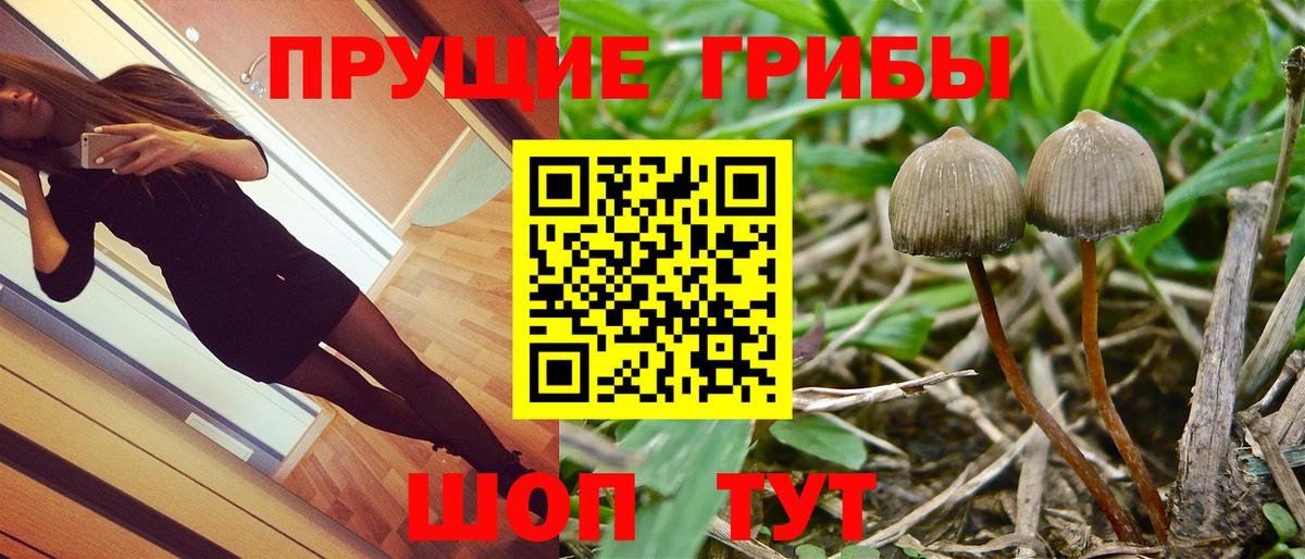 Псилоцибиновые грибы мухоморы  Вход с VPN  Майкоп 